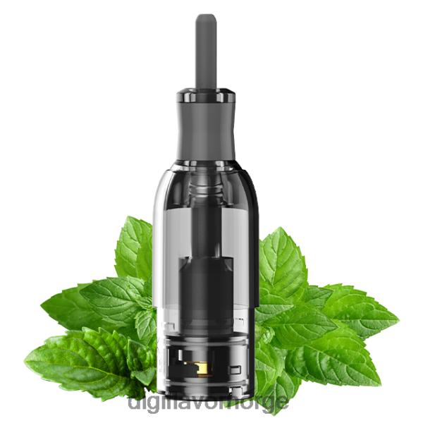 Digiflavor Geekvape - Digiflavor M1 tank 4J844Z36 mynte
